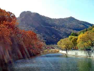 澳门天天免费精准大全，都市神尊